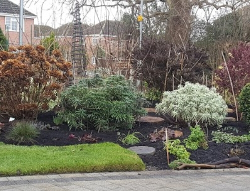 Winter mulch and tidying of shrub border.